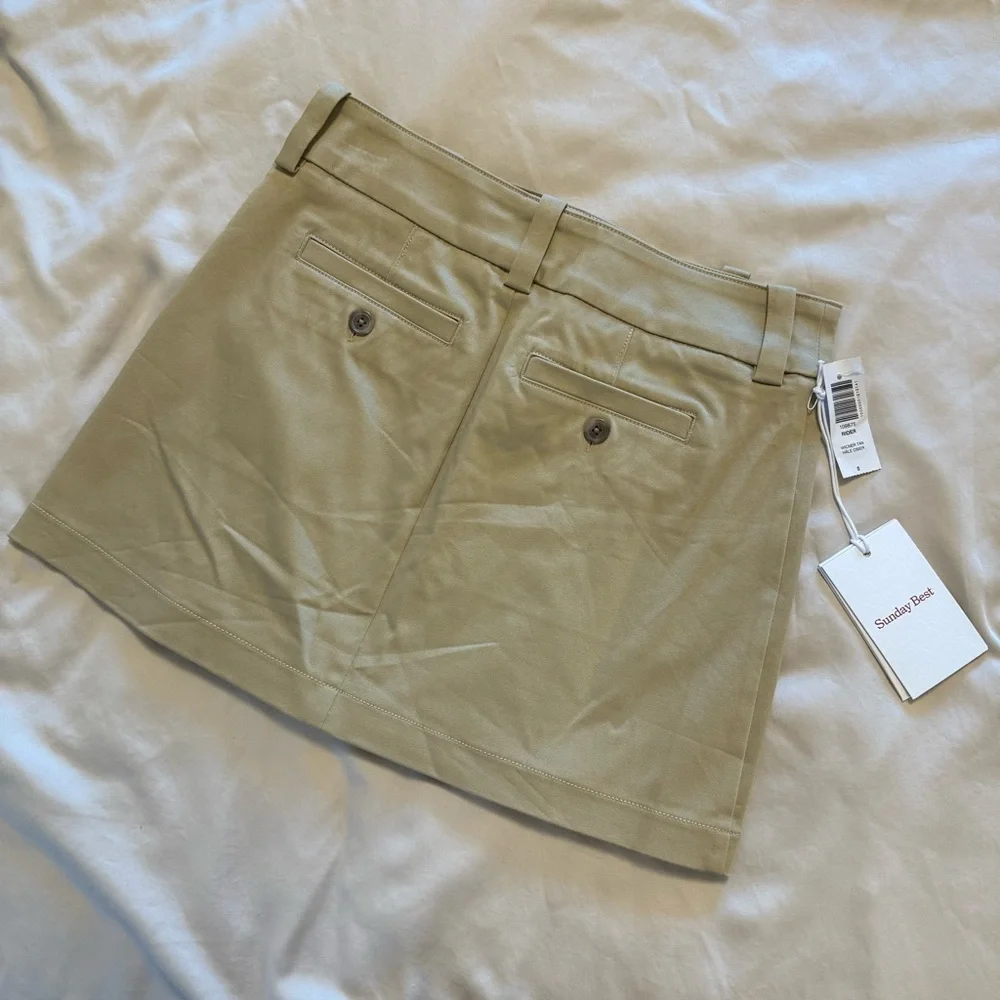 NWT Aritzia Rider Skirt, 0